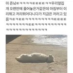 [드루와] 애들아 너네 수능<b>완성</b> 다 삿어??????