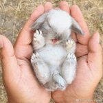 [댓글부탁해] <b>유사</b>연세대 ㅅㅌㅊ?