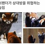 [드루와] 내 고1 첫 <b>중간</b>고사 성적품 들어와봐