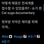 [방탄소년단] 애옹이 다큐봤어??