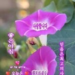 [댓글부탁해] 너네 키 <b>몇임</b>?