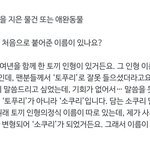 모아있냐? 나 물어볼거 있음