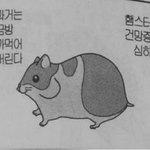 [댓글부탁해] 갓<b>생사</b>는법좀