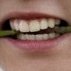 [댓글부탁해] 야 <b>연산군</b>이 투바투?채수빈닮앗대