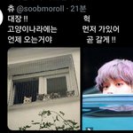 [TXT모아] 툽탐/ <b>대장</b>!!  고양이 나라에는 언제오는거야??...
