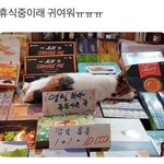 우리 아파트 확진자 떠서 <b>소독</b>하러 왔음