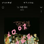 [세븐틴] <b>캐럿</b>들