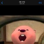 나 <b>루피</b>짤 4개월 전부터 썻는데