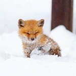 나지금 유튜브에서 <b>키배</b>뜨는데 꼽낌 뭐라고 반박할까?너무너무 떨린다...