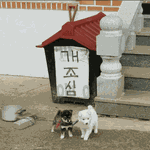 [드루와] 혼자 다니면 ㅉㄸ야??