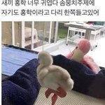 [댓글부탁해] <b>재업</b>) 친구가 나한테 열등감 있나봐