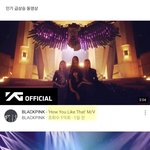 [이것좀봐줘] 블랙핑크 축하해