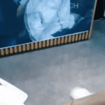 [모두드루와] 얘들아 여름 <b>플리</b> 만들자!!