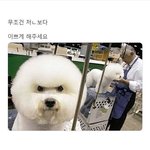 [드루와] 근데 연예인들 있잖아