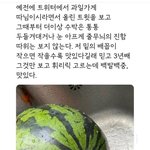 난 미술이 너무 싫음ㅠ