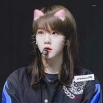[추반] 내일 <b>반팔</b>반바지vs <b>반팔</b>긴바지 추반ㄱ