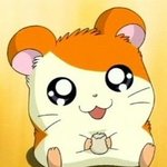 이거 정우 사진 <b>사생</b>임??;;