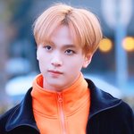 너넨 해찬 무슨파야?
