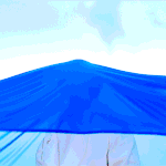 <b>청량</b>한거 좋아하는 사람?