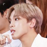 해프들아 니네 해찬이 이거 들어봤냐 들어줘