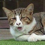 [드루와] 학교 <b>흑역사</b> 하나 생겼다
