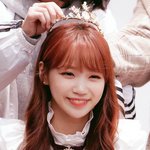 [모두드루와] 아이즈원 찐순위대로 데뷔했으면