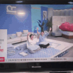 [움짤] 홈쇼핑에 곰 나타남ㅋㅋ