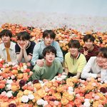 [방탄소년단] ⭐ 고소 공지와 함께하는 연검 정화 ⭐ (정국, 방탄)