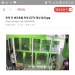 [댓글부탁해] 애견호텔 폭행으로 피멍 든 강아지 <b>cctv</b>영상 공개