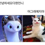 니네 이거 봤냐 게웃김