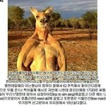 [드루와] 독서실 방에 <b>나혼</b>잔데 조금 무섭다