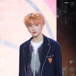 주토<b>피아</b> 닉 박지성