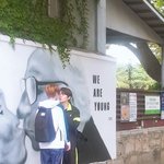 <단독> <b>발각</b>