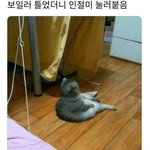 [드루와] 사랑니 <b>발치</b>하고 실밥 언제 풀어?