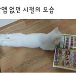 [방탄소년단] 윤기야 뭐<b>하니</b>