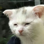 [드루와] 우리 <b>반</b>에 임선지 닮았다는 소리 <b>한</b> 번 듣고