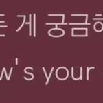 [방탄소년단] 민초단이여서 미안해