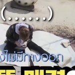 [NCT] 제노 다리