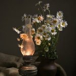 [드루와] 잠 못 드는 밤을 지새우며 힐링하는 여러 가지 방법