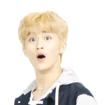 [NCT] 엔시티 실물후기