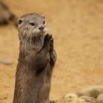 [10대의성] 썸남이 자기가 남자<b>페미</b><b>래</b>