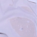 [방탄소년단] <b>남주</b>니 공원에점 짤
