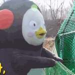[모두드루와] <b>펭수</b> 생일 도시락 조공 추반