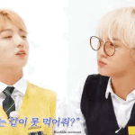 [방탄소년단] 꾺꾸의 애절한 외침에 결국 형들은