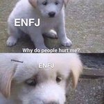 <b>ENFJ</b>들 ㅇㄱㄹㅇ임?맞으면 이런경우좀 알려줭 ㅋ