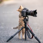 [방탄소년단] 방탄판 <b>최대</b>홈마님 돌아오심!!