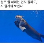 학교 <b>수행</b>에 독후감 쓰는 거 있는데