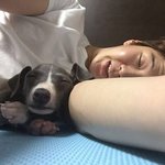 [위너] 강<b>김송</b>이 깜찍 모먼트 짤