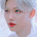 지금 들어온 스테이 어리둥절.. 용복이 이뻐<b>해조</b>