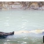[댓글부탁해] 백현 아이유 <b>달연</b>